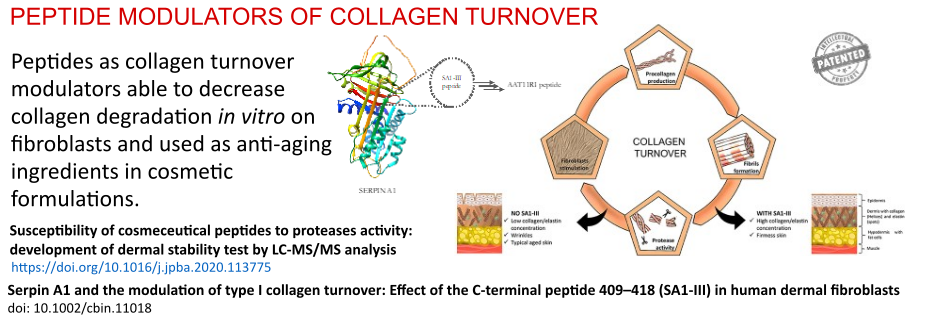 collagen-turnover-research-peptlab-interdepartmental-research